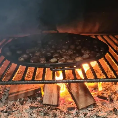San Antonio Venkovský dům